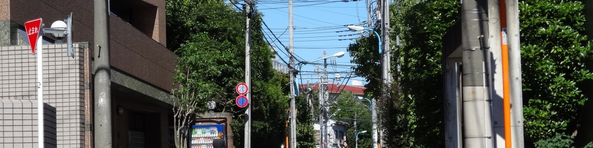 当館前面道路の町並み